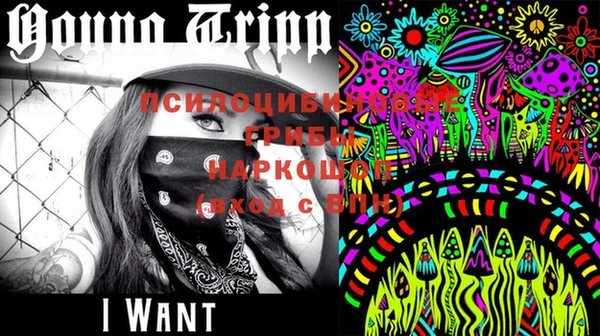 прущая мука Дмитров
