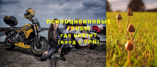 кокс Дмитриев