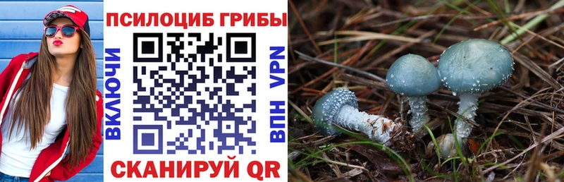 мега сайт  Павловский Посад  Псилоцибиновые грибы MAGIC MUSHROOMS  где можно купить  